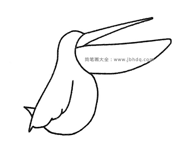 鹈鹕简笔画步骤2
