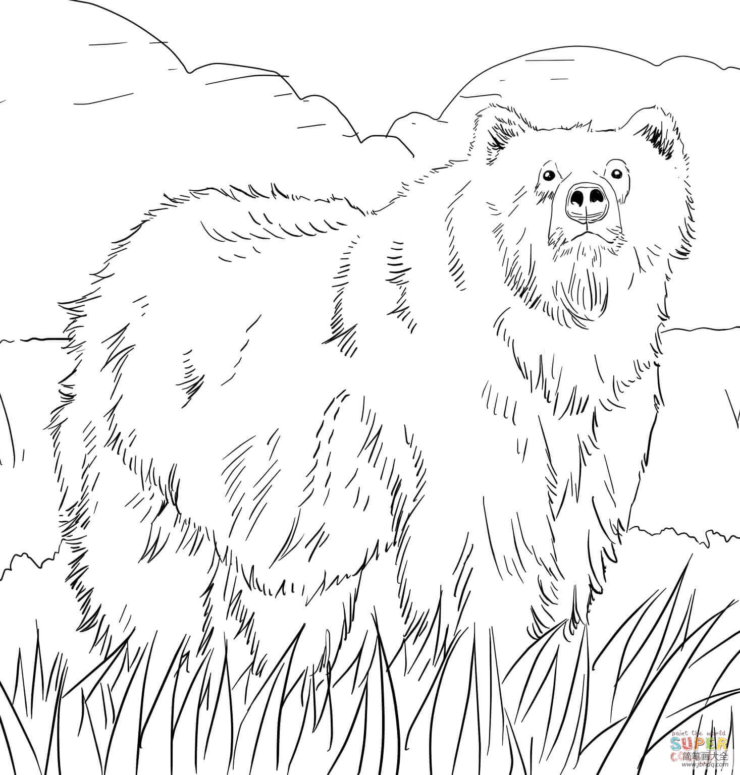 学画棕熊