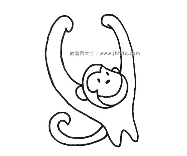 长臂猿简笔画图片3