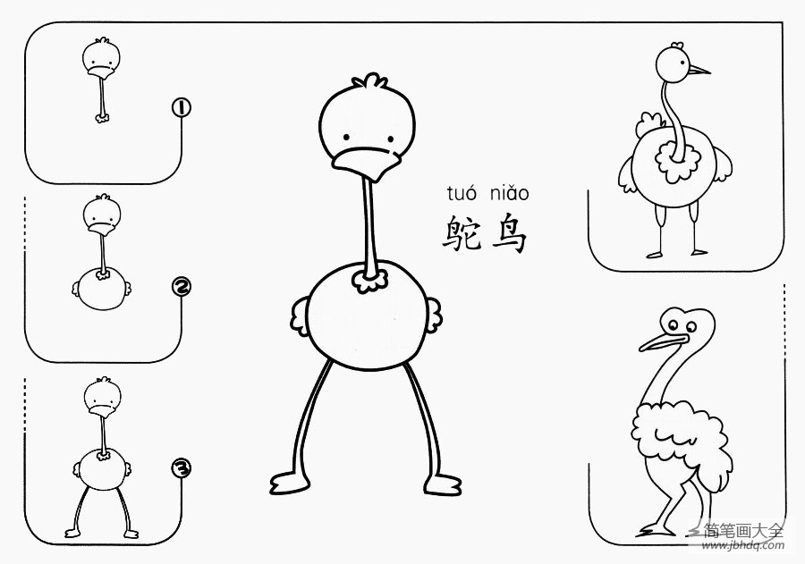 鸵鸟怎么画