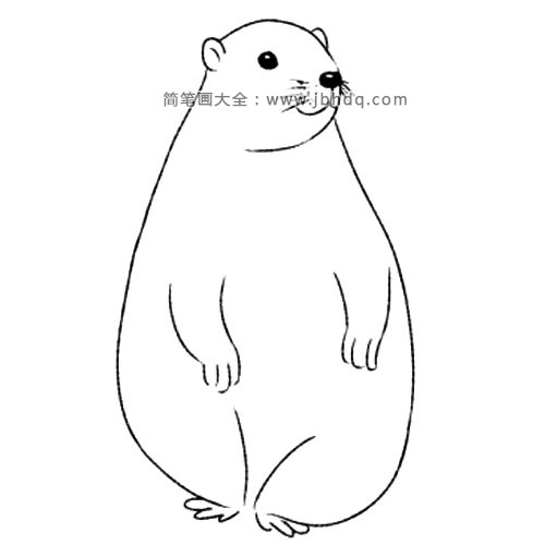 4.画出短小的四肢。