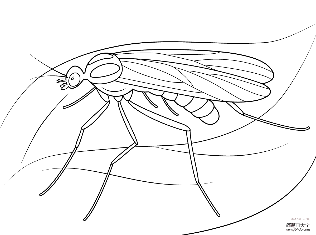 讨厌的蚊子简笔画