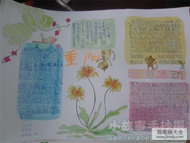 重阳节的手抄报_九九重阳,赏菊