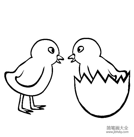 小鸡图片 两只小鸡简笔画