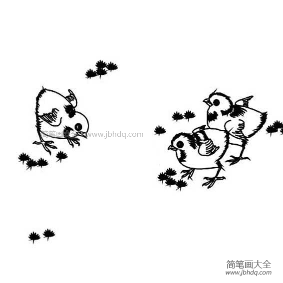 三只小鸡简笔画图片