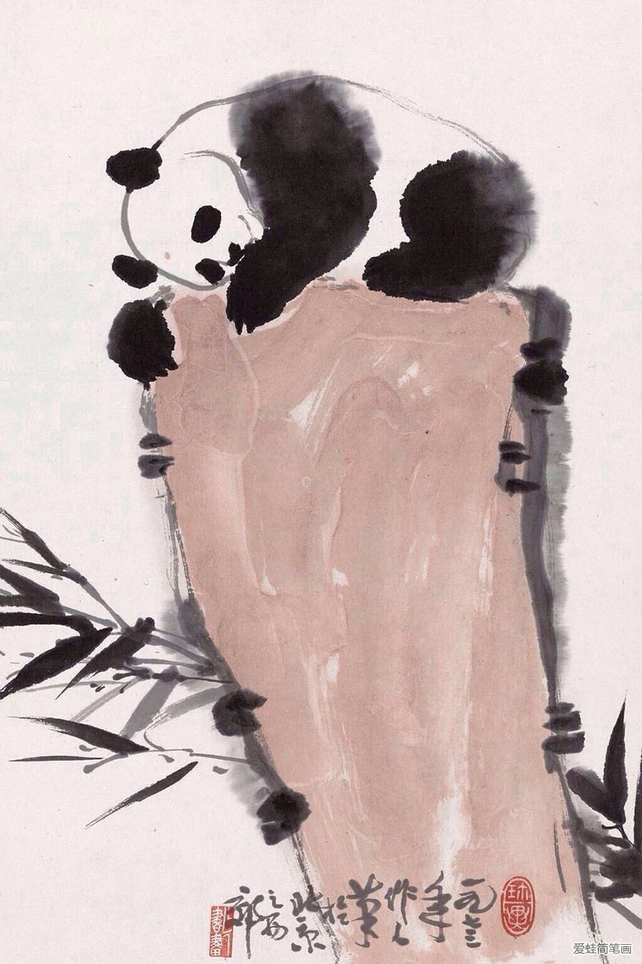 吴作人笔下的熊猫