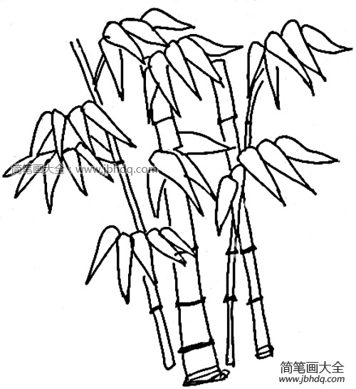 竹子简笔画