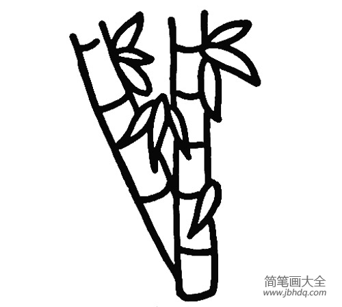 竹子树简笔画画法