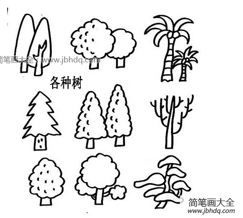 九种大树简笔画