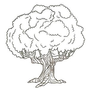 儿童简笔画 茂盛的大树简笔画图片