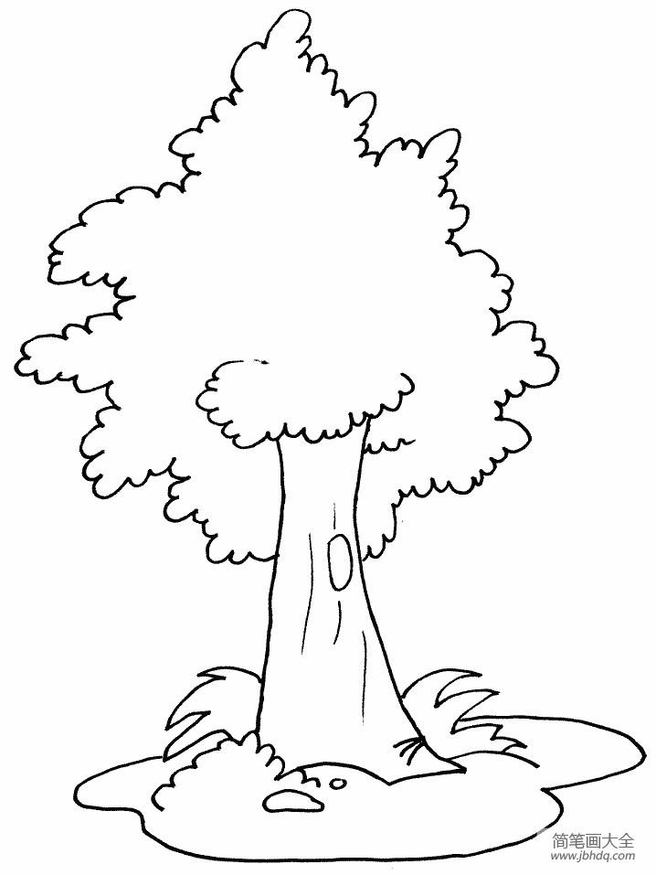 如何画大树 茂密的大树简笔画
