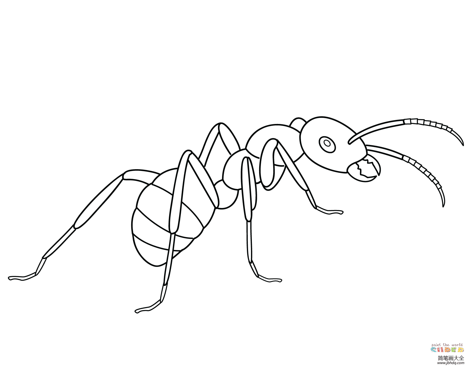 简单的蚂蚁画法