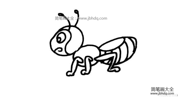 卡通蚂蚁简笔画图片