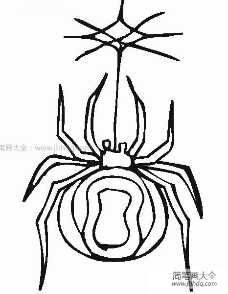 蜘蛛简笔画图片