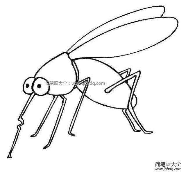 蚊子简笔画图片