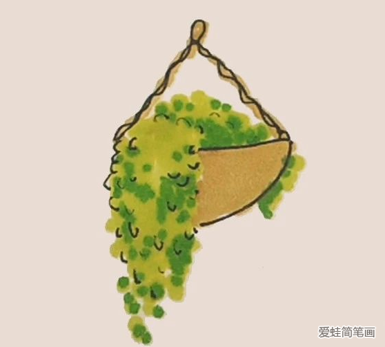 简笔画之吊兰