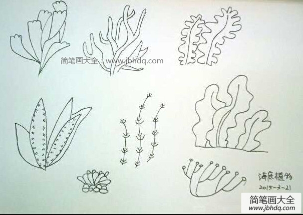 海底植物