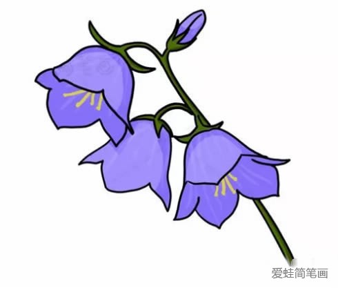 风铃草简笔画