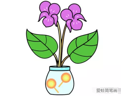 紫罗兰君