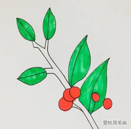 冬青树简笔画