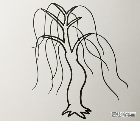 柳树的树干