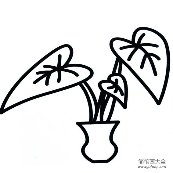 滴水观音简笔画