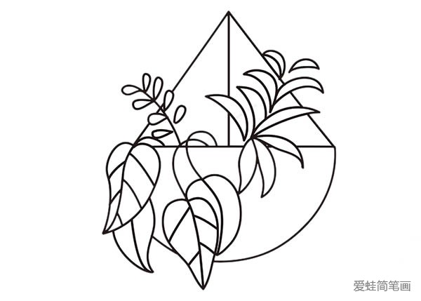 吊兰简笔画