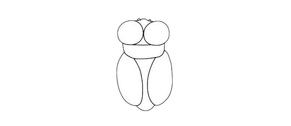 知了简笔画