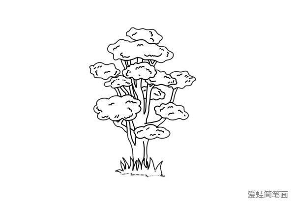 柞树简笔画