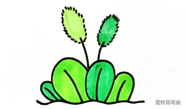 狗尾巴草简笔画