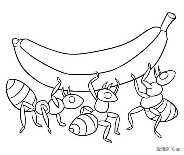 蚂蚁抬香蕉简笔画