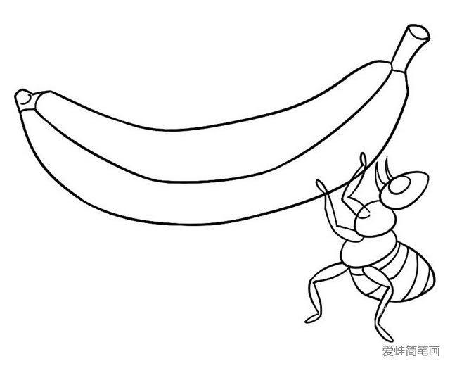 蚂蚁抬香蕉简笔画