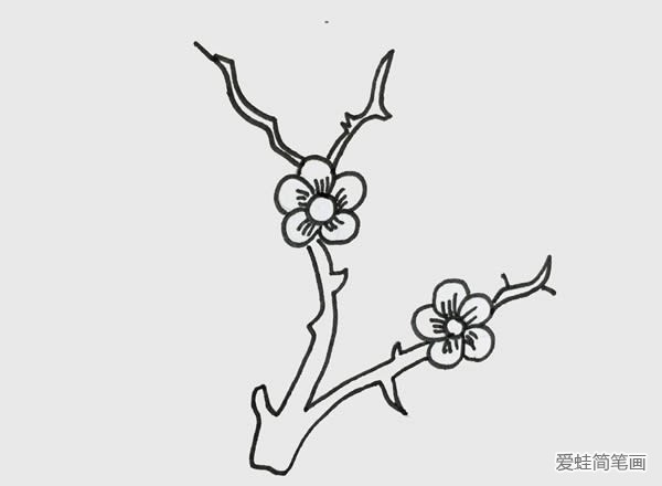 树枝上的梅花简笔画