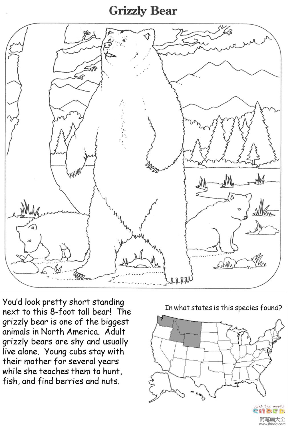 如何画大灰熊