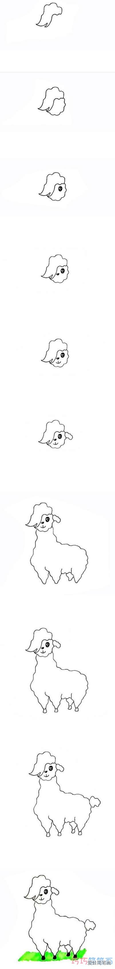 卡通羊驼怎么画简笔画