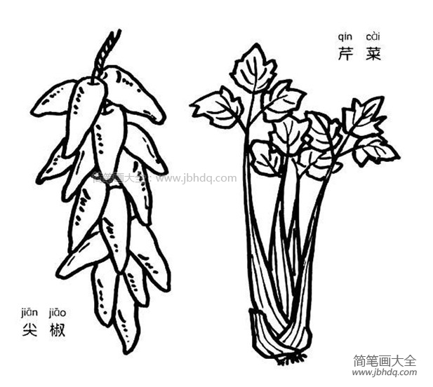 芹菜和尖椒简笔画图片