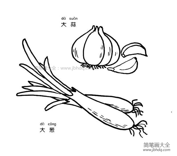 大蒜和大葱简笔画