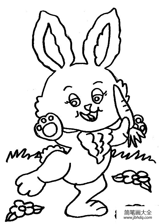 小白兔吃胡萝卜