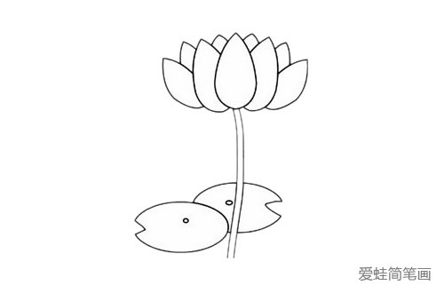 荷花简笔画