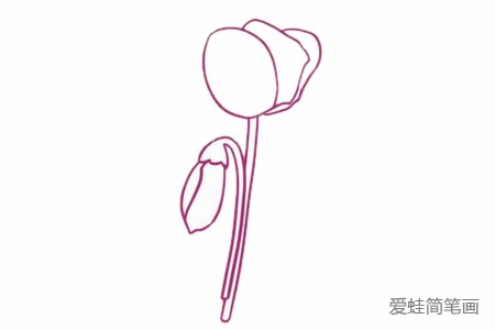 仙客来简笔画