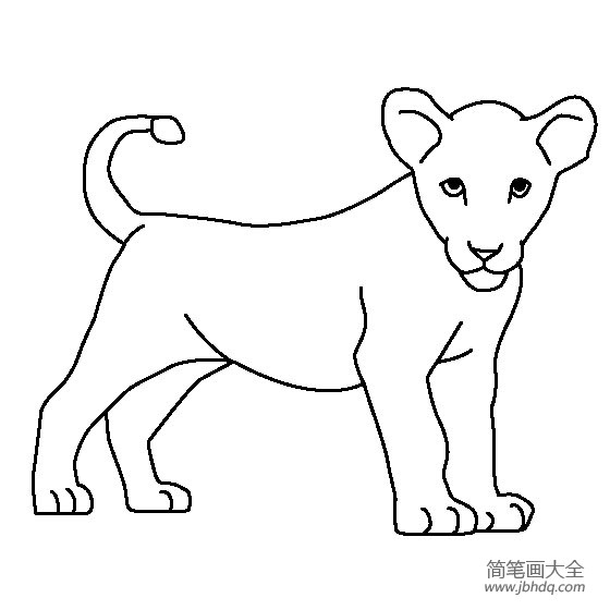 动物简笔画 小狮子简笔画图片