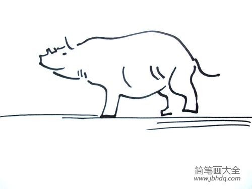 犀牛的简笔画画法