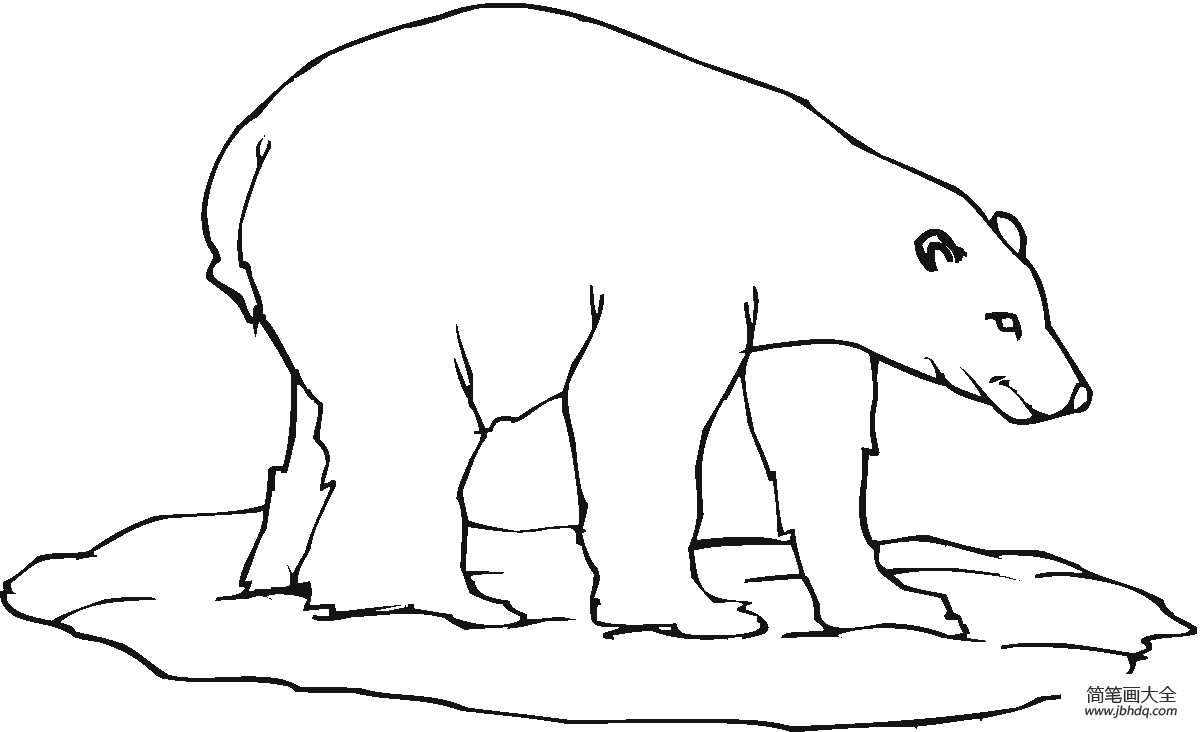 学画简单的北极熊