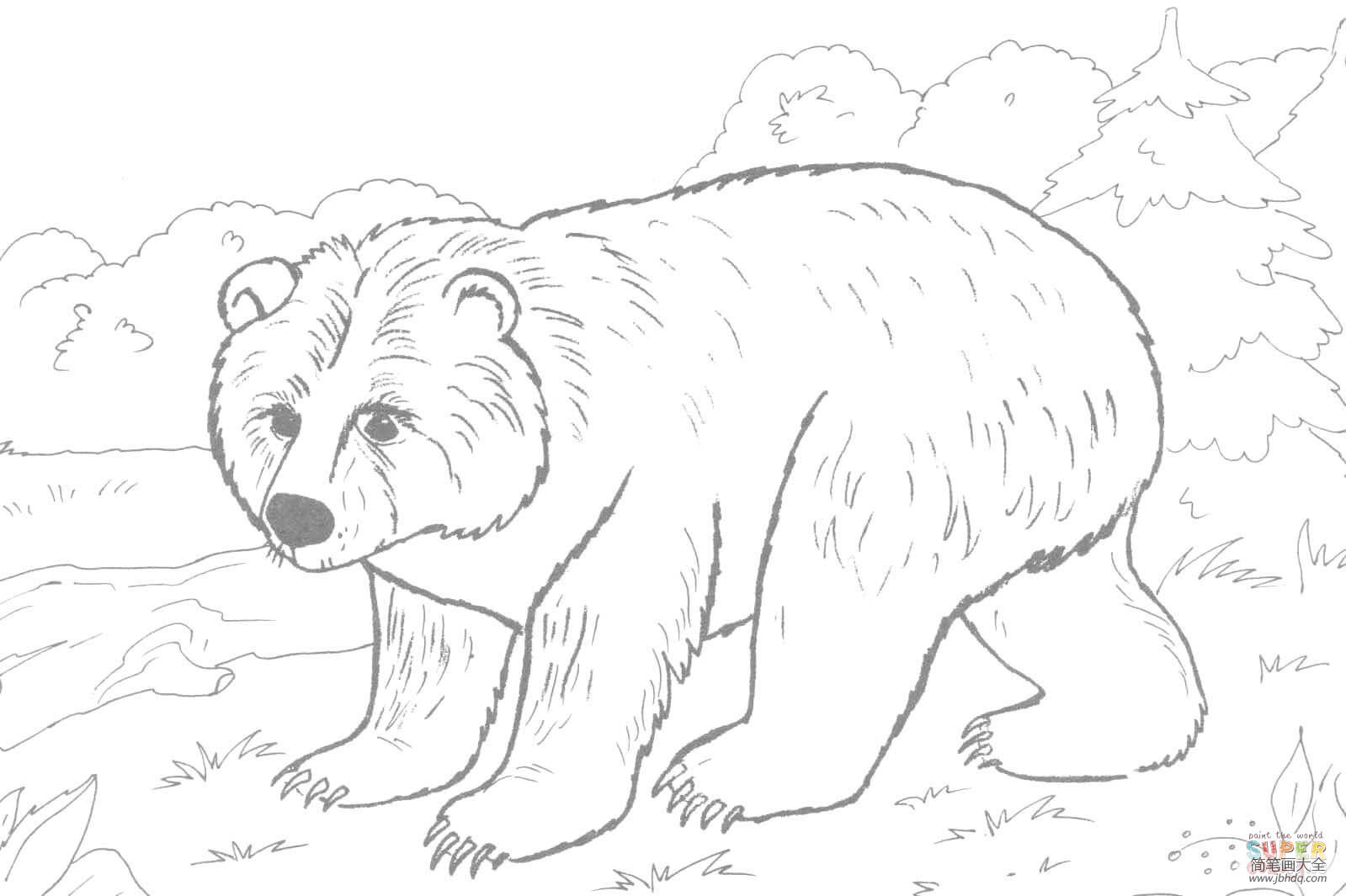 灰熊在散步