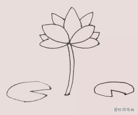 荷花简笔画