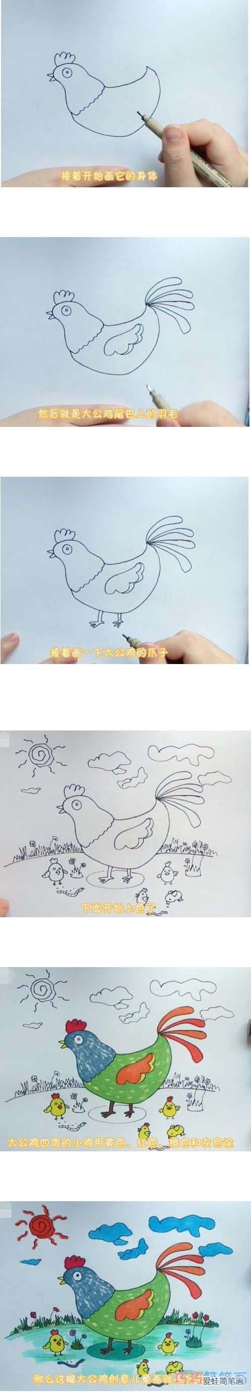 教你如何画大公鸡简笔画