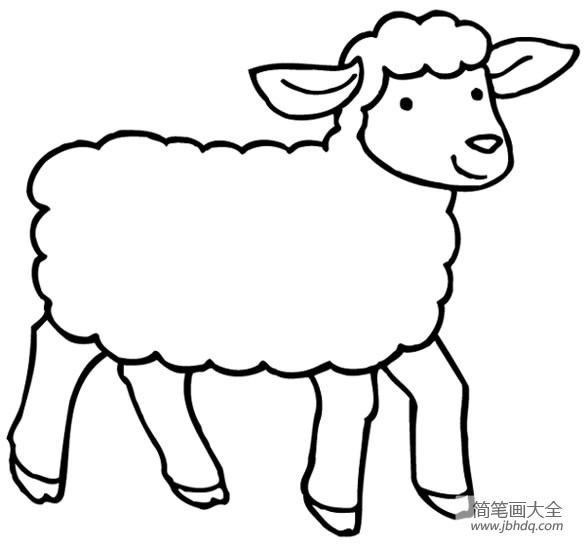 关于羊的简笔画学习