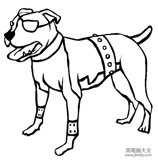 小狗图片大全 美国比特斗牛梗简笔画图片