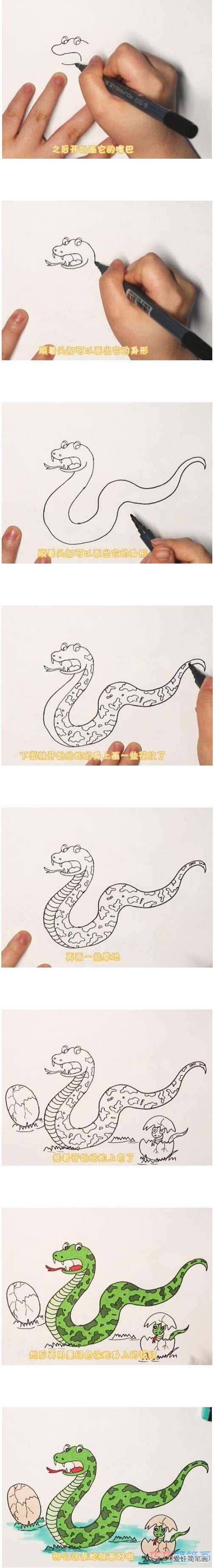 教你怎么画蛇简笔画