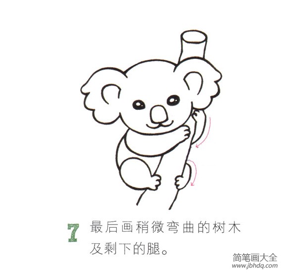 简单的动物简笔画 树袋熊